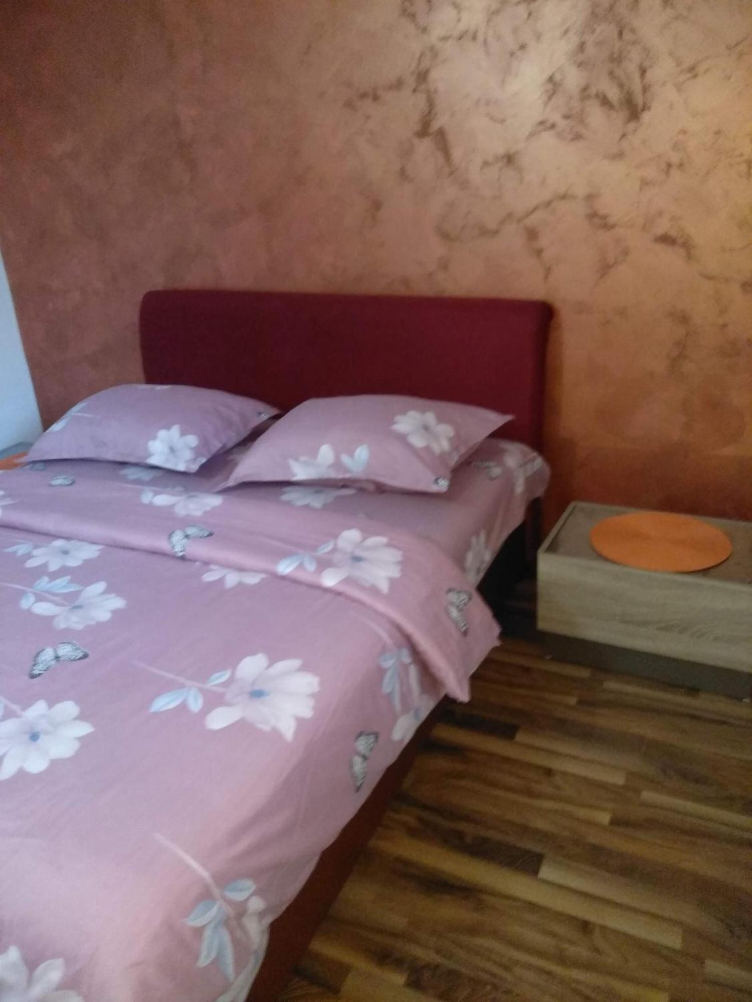 Apartments Popovic Podgorica Bagian luar foto
